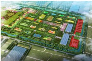 大美稻香生态文化旅游节总体规划