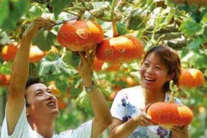 席吴二洲生态湿地公园圣平岛概念性规划方案汇报