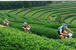 遵义全域旅游发展规划说明书