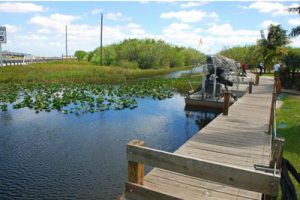 湖南省宁乡金洲湖国家湿地公园总体规划