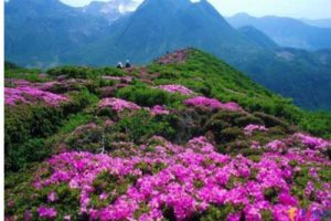 江西井冈山旅游发展总体规划