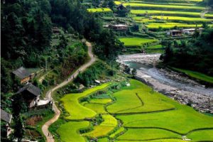 湖北武汉新洲东北部红色旅游实施规划