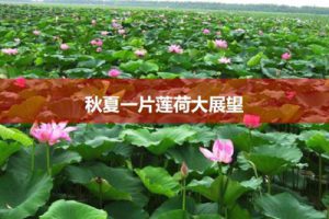 水南镇荷山松山红色旅游区概念策划