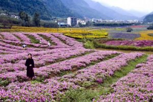 长兴县江南小延安红色旅游区提升方案