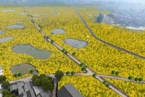 吉安吉水东固根据地红色旅游区概念性策划