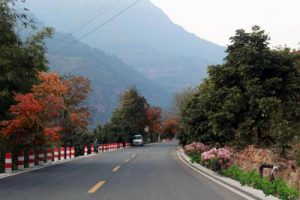 遵义市赤水河流域旅游产业总体策划