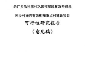 老厂乡哈科底村巩固拓展脱贫攻坚成果同乡村振兴有效街接重点村建设项目