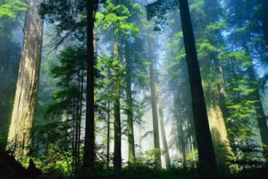 浙江龙游中国青瓷小镇