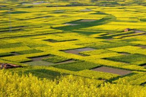 杭州梦想小镇概念设计（方案一）