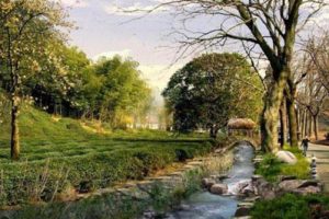 中国安岳柠檬小镇田园综合体总体规划