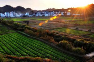 白鹿原古镇概念策划方案