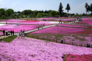 中国汝瓷小镇一期概念规划设计