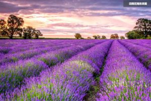 广西柳州水岸田园小镇概念规划