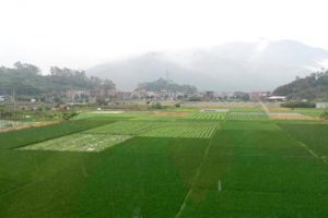 福建漳州花语温泉小镇概念规划