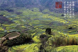 桃花岛花间堂温泉度假酒店景观概念设计