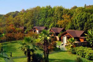 德清县舞阳智能生态康养旅游小镇概念规划