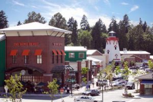 成都市新津县金宸国际旅游小镇概念规划