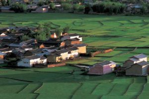 浙江磐安江南药镇城市设计