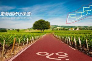 莱西葡萄小镇规划设计