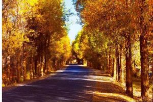 水果小镇策划规划概念方案