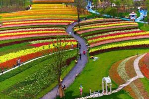 河北秦皇岛戴河田园综合体旅游度假区景观规划