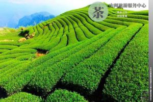 南京牛首山风景区整体规划提升与天阙小镇概念性城市设计