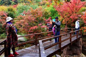 常德太阳山国家森林小镇总体策划