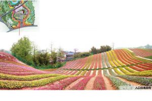 绥阳县洛安江花屿映像景观规划设计