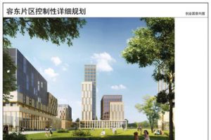 河北雄安新区容东片区控制性详细规划深化优化版