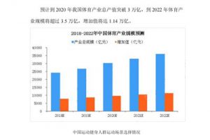 姚安县足球场建设项目可行性研究报告