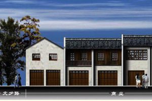 长沙市太平街历史文化街区保护规划