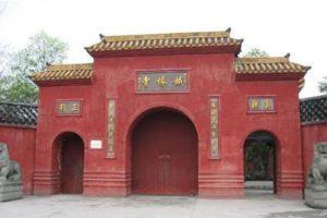 成都高新区大源组团西片区规划