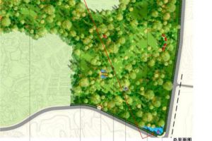 广东奥林匹克体育中心周边地区城市设计