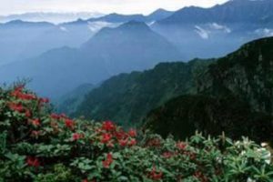 彭州市湔江、白鹿河两河流域总体发展规划