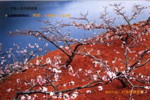 龙泉驿区山泉镇总体规划优化