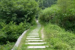 光明新区整体城市设计