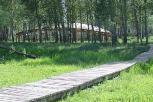 辽宁沈抚连接带总体发展概念规划