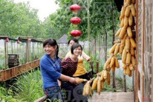 沙龙村休闲农业观光旅游项目规划方案