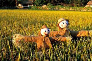 中国上马上北桃源水乡田园综合体总体规划