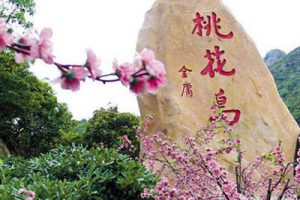 连云港板浦镇桃花岛项目总体设计定位及落地实施报告