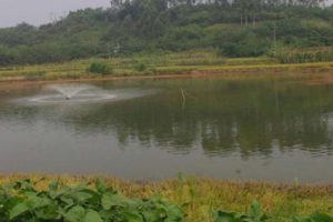 成都市天府新区立体城市农业景观带概念性总体规划