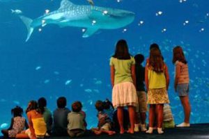 云湖主题乐园总体规划设计方案