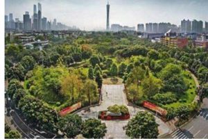 江苏园博会（一期）项目基础设施建设、场地平整工程工程总承包技术方案分册