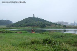 松山国际学校项目建筑设计