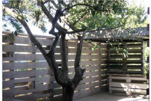 北仑滨海新城国际合作学校建筑设计