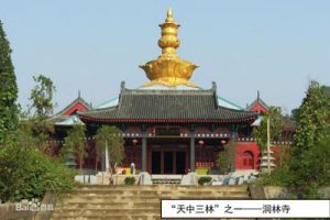 提取自荥阳清华园中学概念设计